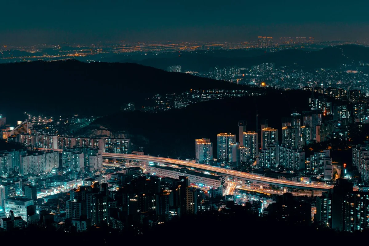 산 위에서 내려다본 서울의 야경과 고가도로의 불빛